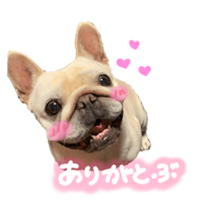 [LINEスタンプ] フレブルの大吉くん(パステルカラー)