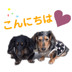 [LINEスタンプ] Dior＆Daiya