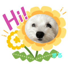 [LINEスタンプ] いのまるくん