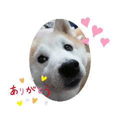 [LINEスタンプ] ももちゃんももの顔