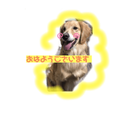 [LINEスタンプ] えるきら