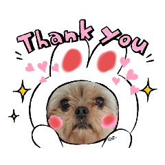 [LINEスタンプ] のーのライフ3