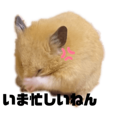 [LINEスタンプ] 関西弁むぎちゃん