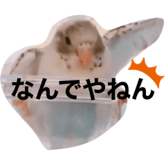 [LINEスタンプ] 白ハルふーちゃんスタンプ
