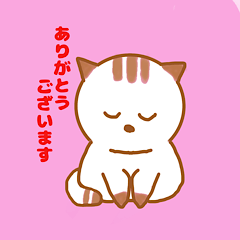 [LINEスタンプ] みけちゃん日和