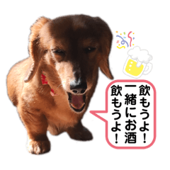[LINEスタンプ] 我が家のエアー(第三弾)