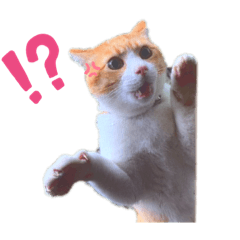 [LINEスタンプ] げんた(仮名)スタンプ