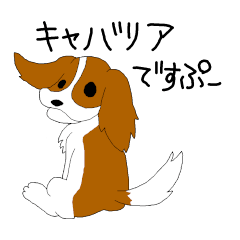 [LINEスタンプ] キャバリアですぷ - キャバリア スパニエル