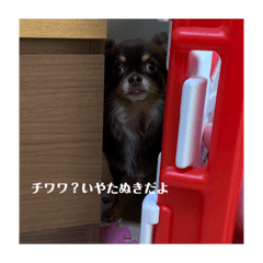[LINEスタンプ] たんちゃんのすたんぷう