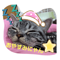 [LINEスタンプ] 保護っ子ワンニャン