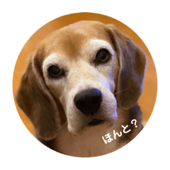 [LINEスタンプ] とご