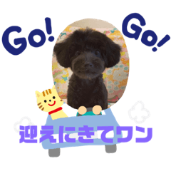 [LINEスタンプ] 黒たぬきの日常