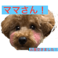 [LINEスタンプ] モカの、日常