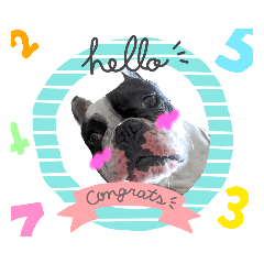 [LINEスタンプ] OMOCHI feelings