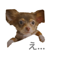 [LINEスタンプ] モナくんは可愛いんです