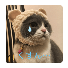 [LINEスタンプ] ハチワレ コタロー2