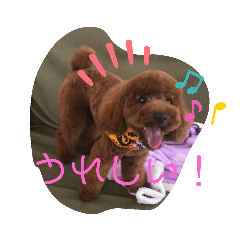 [LINEスタンプ] くうたのへやスタンプ