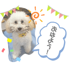 [LINEスタンプ] ぷぷのあいさつ♡