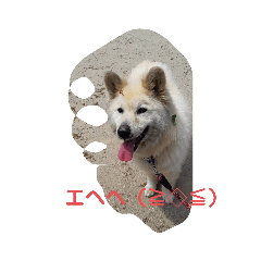 [LINEスタンプ] 俺スタンプ   6  (リアクション編)