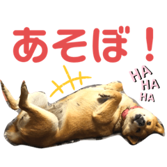 [LINEスタンプ] こはるさま②