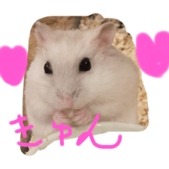 [LINEスタンプ] 可愛いミルクちゃんスタンプ