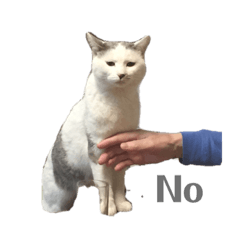 [LINEスタンプ] ながね家