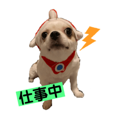 [LINEスタンプ] マイペースゆずさん