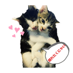 [LINEスタンプ] 我が家の風鈴