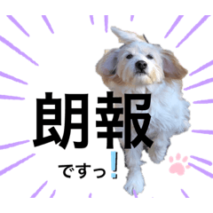 [LINEスタンプ] トトロのスタンプ②