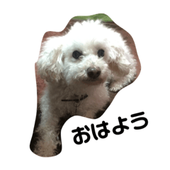 [LINEスタンプ] あいさつたちたち3