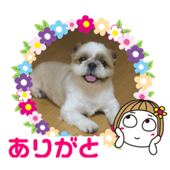 [LINEスタンプ] 北斗がいっぱい