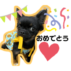 [LINEスタンプ] すずちゃん♡スタンプ