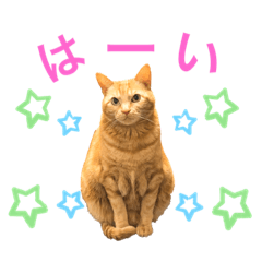 [LINEスタンプ] まろん②