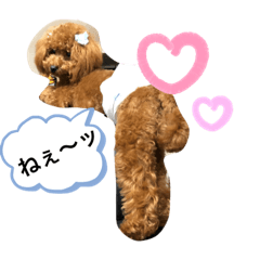 [LINEスタンプ] toy.poochan..