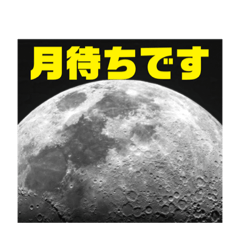 [LINEスタンプ] 月を撮る人のスタンプです