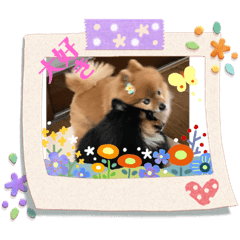 [LINEスタンプ] メリー＆サリー