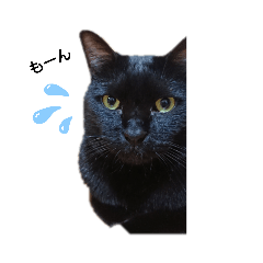 [LINEスタンプ] ちももんたむワン