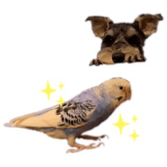 [LINEスタンプ] ハッチョン君とラム