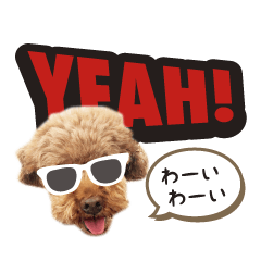 [LINEスタンプ] ピピの休日