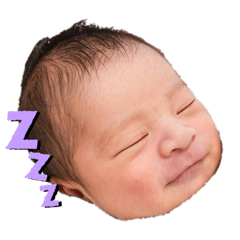 [LINEスタンプ] ここあお1