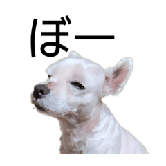[LINEスタンプ] ウエシリーズ