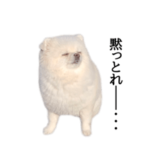 [LINEスタンプ] ゆるぱる
