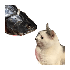[LINEスタンプ] ながね家 ②