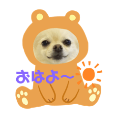 [LINEスタンプ] ポメチワ☆ビビちゃん