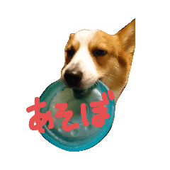 [LINEスタンプ] いぬたちとまいにち2