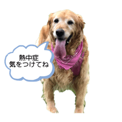 [LINEスタンプ] 顔見ているだけで幸せ