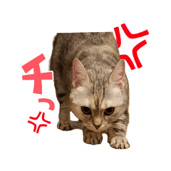 [LINEスタンプ] なのですよ