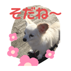 [LINEスタンプ] はっぴぃと一緒