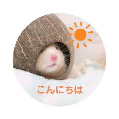 [LINEスタンプ] キンクマのちゃむ