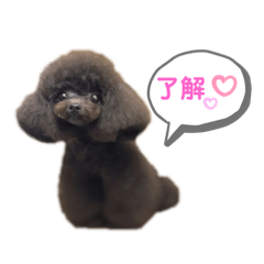 [LINEスタンプ] momemimaスタンプ